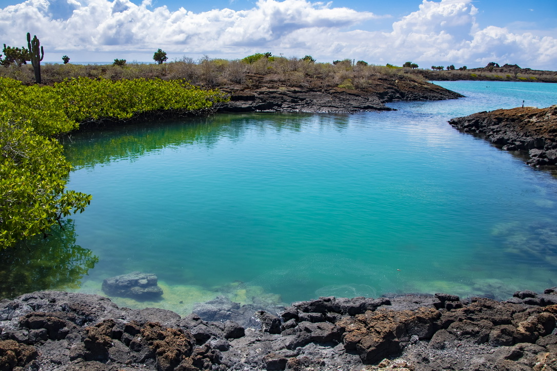 Galápagos lagoon
